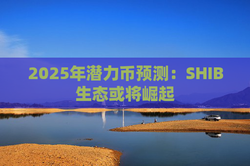 2025年潜力币预测:SHIB生态或将崛起