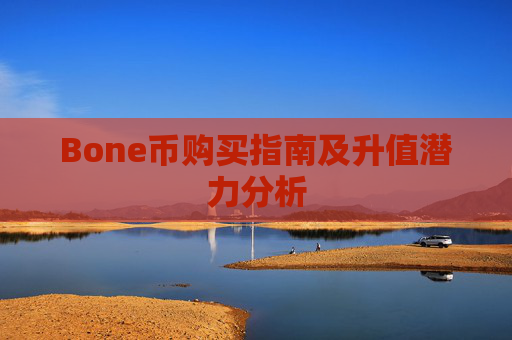Bone币购买指南及升值潜力分析