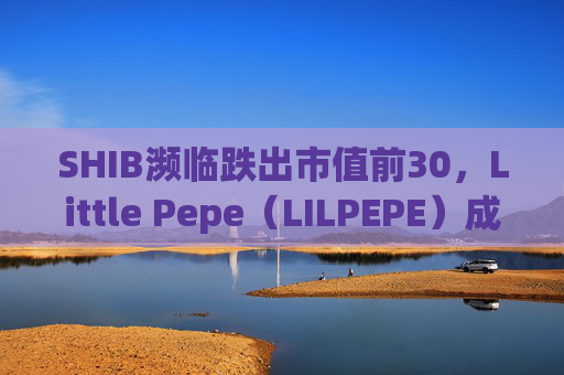 SHIB濒临跌出市值前30，Little Pepe（LILPEPE）成新焦点