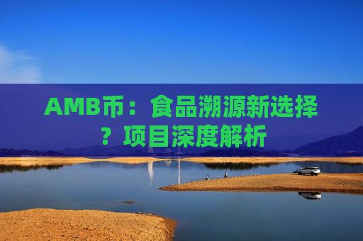 AMB币:食品溯源新选择?项目深度解析