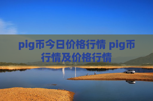 pig币今日价格行情 pig币行情及价格行情