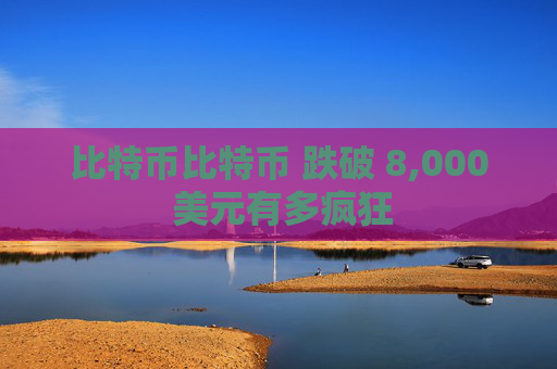 比特币比特币 跌破 8,000 美元有多疯狂