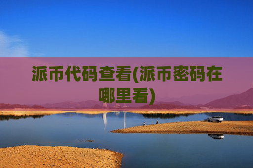 派币代码查看(派币密码在哪里看)
