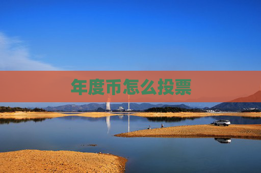 年度币怎么投票