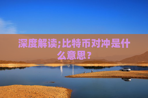 深度解读;比特币对冲是什么意思?