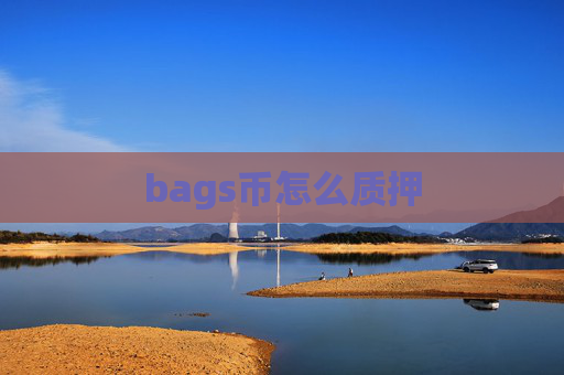 bags币怎么质押