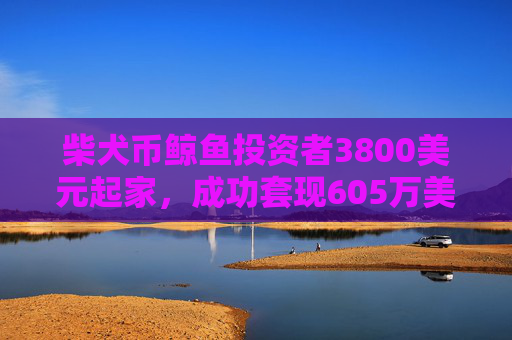 柴犬币鲸鱼投资者3800美元起家,成功套现605万美元