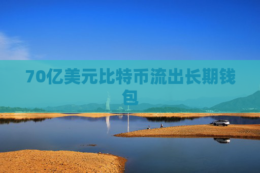 70亿美元比特币流出长期钱包