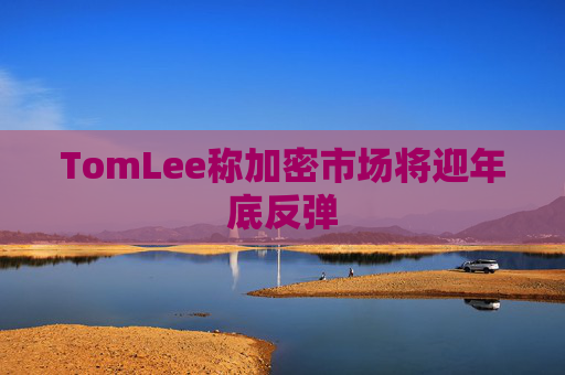 TomLee称加密市场将迎年底反弹