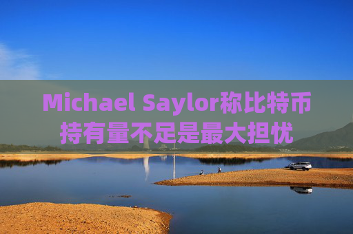 Michael Saylor称比特币持有量不足是最大担忧
