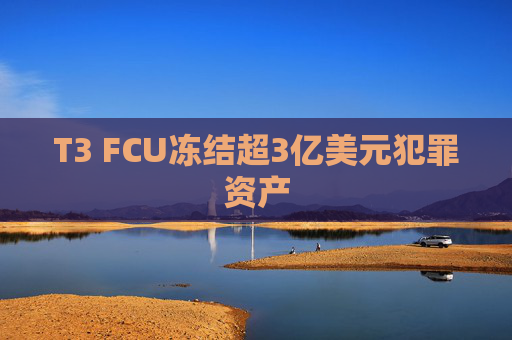 T3 FCU冻结超3亿美元犯罪资产