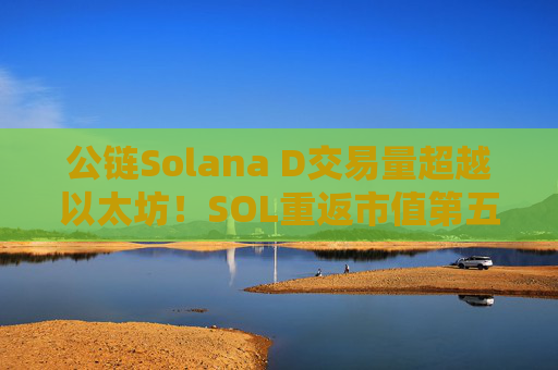 公链Solana D交易量超越以太坊！SOL重返市值第五大代币