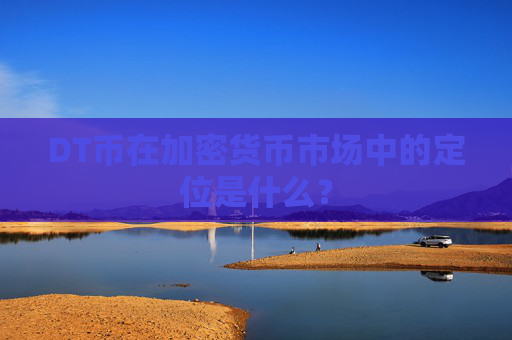 DT币在加密货币市场中的定位是什么?