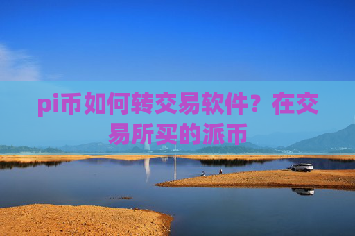 pi币如何转交易软件?在交易所买的派币