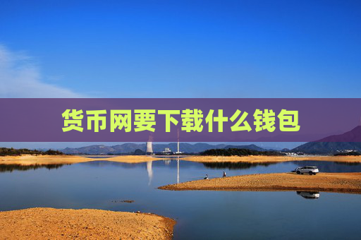 货币网要下载什么钱包
