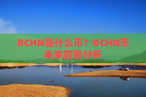 BCHN是什么币?BCHN币未来前景分析