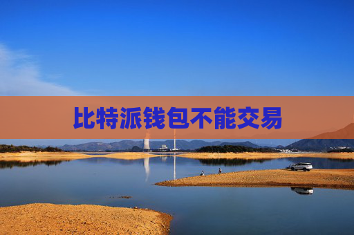 比特派钱包不能交易