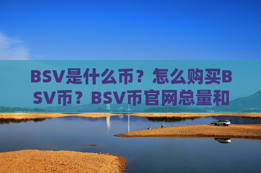 BSV是什么币?怎么购买BSV币?BSV币官网总量和币种概念介绍