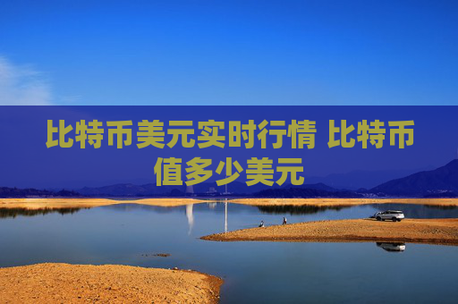 比特币美元实时行情 比特币值多少美元