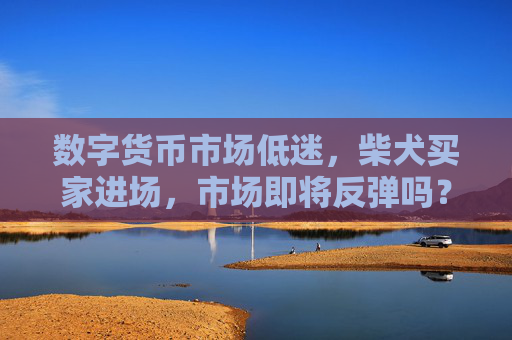 数字货币市场低迷,柴犬买家进场,市场即将反弹吗?