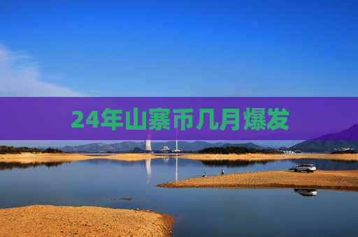 24年山寨币几月爆发