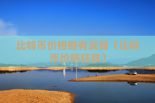 比特币价格略有反弹(比特币价格狂跌)