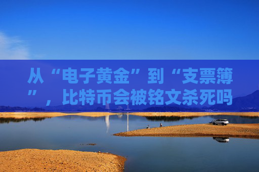 从“电子黄金”到“支票簿”,比特币会被铭文杀死吗?