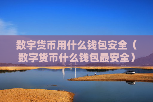 数字货币用什么钱包安全(数字货币什么钱包最安全)