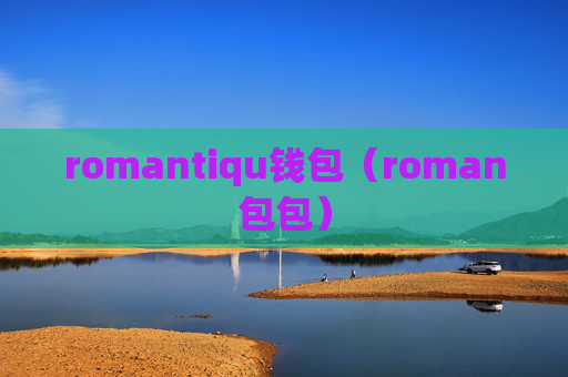 romantiqu钱包(roman包包)