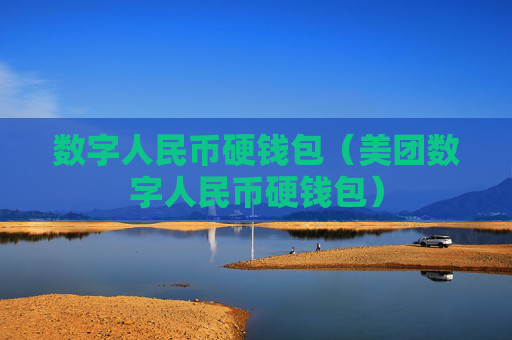 数字人民币硬钱包(美团数字人民币硬钱包)