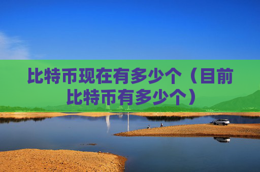 比特币现在有多少个(目前比特币有多少个)