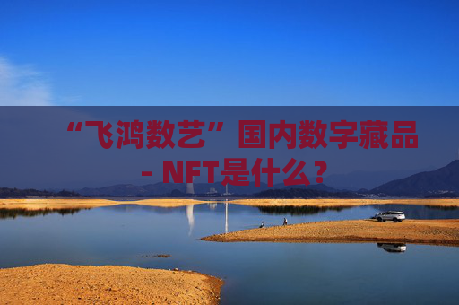 “飞鸿数艺”国内数字藏品 - NFT是什么?