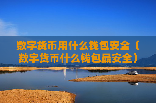 数字货币用什么钱包安全（数字货币什么钱包最安全）