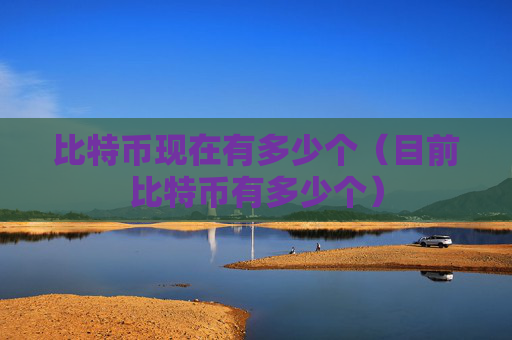 比特币现在有多少个（目前比特币有多少个）