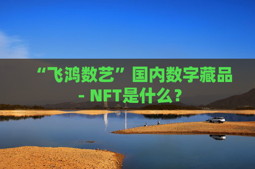 “飞鸿数艺”国内数字藏品 - NFT是什么?