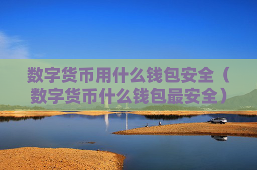 数字货币用什么钱包安全(数字货币什么钱包最安全)