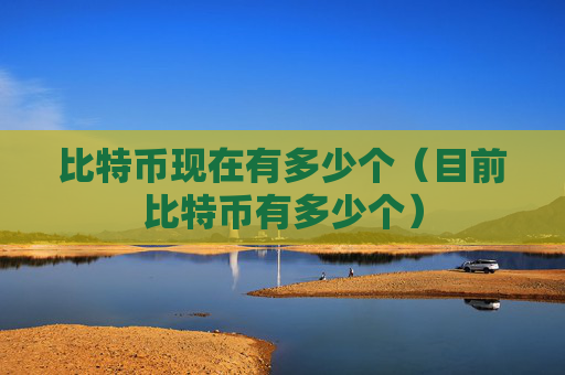 比特币现在有多少个(目前比特币有多少个)