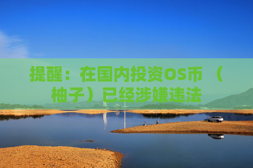 提醒：在国内投资OS币 （柚子）已经涉嫌违法