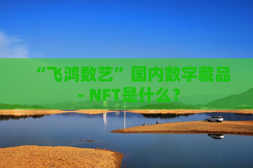 “飞鸿数艺”国内数字藏品 - NFT是什么?