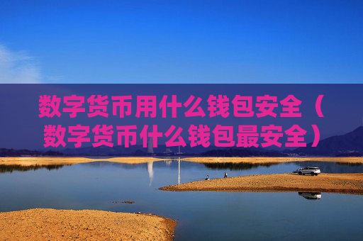 数字货币用什么钱包安全（数字货币什么钱包最安全）