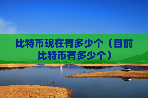 比特币现在有多少个（目前比特币有多少个）