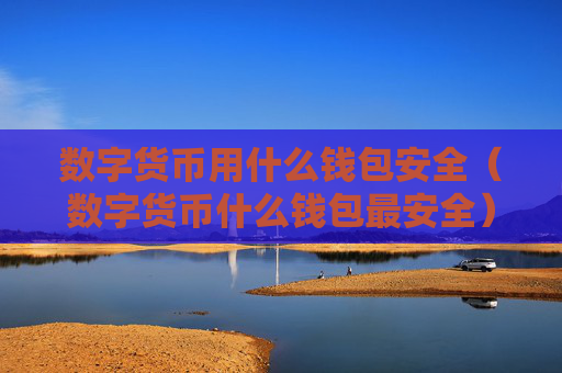 数字货币用什么钱包安全(数字货币什么钱包最安全)