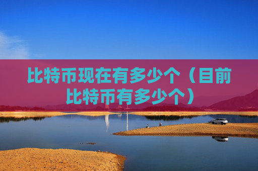比特币现在有多少个(目前比特币有多少个)