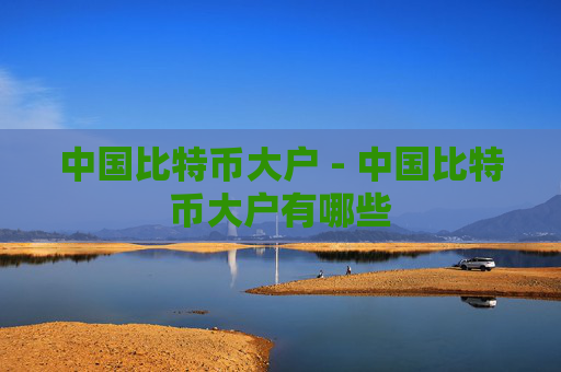 中国比特币大户 - 中国比特币大户有哪些