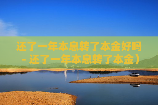 还了一年本息转了本金好吗 - 还了一年本息转了本金)