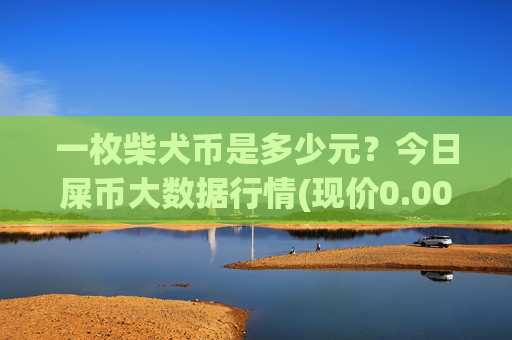 一枚柴犬币是多少元？今日屎币大数据行情(现价0.00016259元)