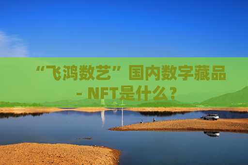 “飞鸿数艺”国内数字藏品 - NFT是什么?