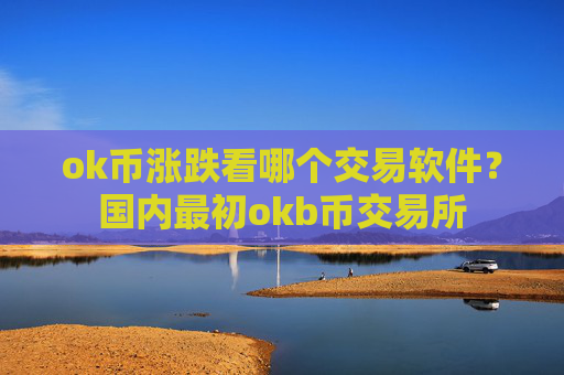 ok币涨跌看哪个交易软件?国内最初okb币交易所