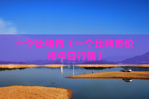 一个比特币(一个比特币价格今日行情)