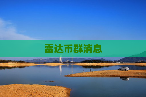 雷达币群消息